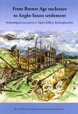 From Bronze Age Enclosure to Saxon Settlement pdf epub mobi 电子书 下载
