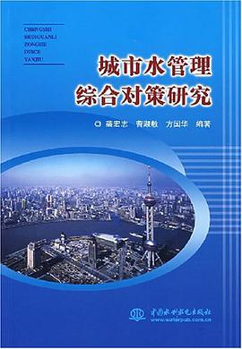 城市水管理综合对策研究 pdf epub mobi 电子书 下载