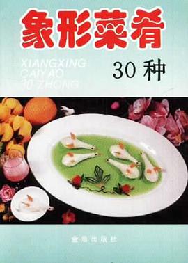 象形菜肴30种 pdf epub mobi 电子书 下载