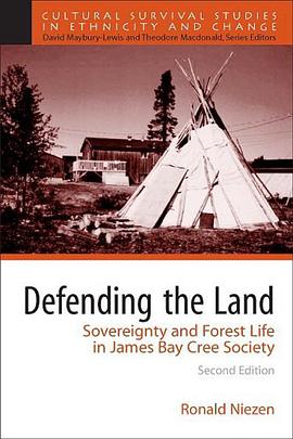Defending the Land pdf epub mobi 电子书 下载