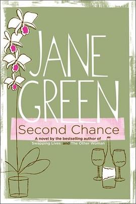 Second Chance pdf epub mobi 电子书 下载