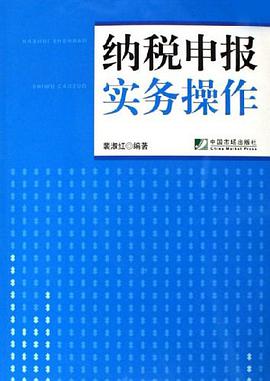 纳税申报实务操作 pdf epub mobi 电子书 下载