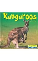Kangaroos