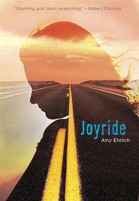 Joyride pdf epub mobi 电子书 下载