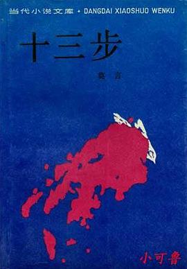 十三步 pdf epub mobi 电子书 下载
