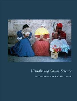 Visualizing Social Science pdf epub mobi 电子书 下载