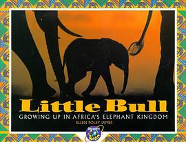 Little Bull pdf epub mobi 电子书 下载