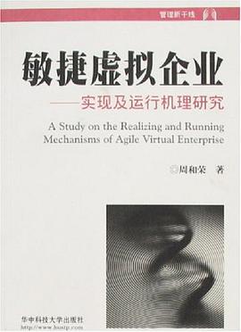 敏捷虚拟企业