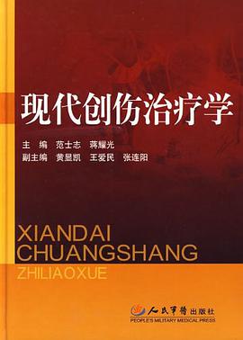 现代创伤治疗学 pdf epub mobi 电子书 下载
