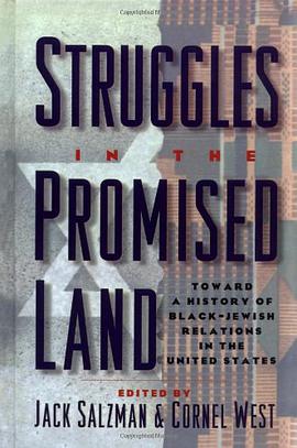 Struggles in the Promised Land pdf epub mobi 电子书 下载
