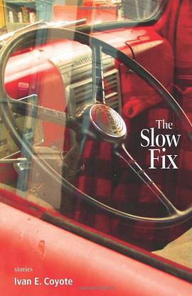 The Slow Fix pdf epub mobi 电子书 下载