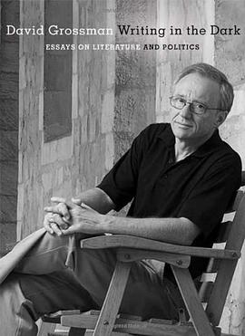 Writing in the Dark pdf epub mobi 電子書 下載