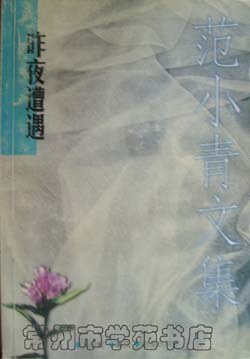 范小青文集・昨夜遭遇 pdf epub mobi 电子书 下载