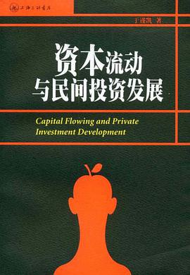 资本流动与民间投资发展 pdf epub mobi 电子书 下载