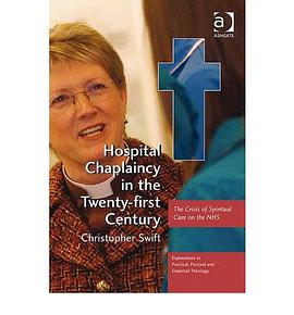 Hospital Chaplaincy in the Twenty-First Century pdf epub mobi 电子书 下载