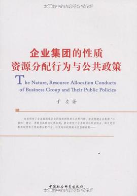 企业集团的性质、资源分配行为与公共政策 pdf epub mobi 电子书 下载