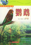 鹦鹉 pdf epub mobi 电子书 下载