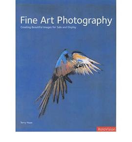 Fine Art Photography pdf epub mobi 電子書 下載