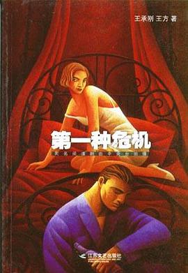 第一种危机 pdf epub mobi 电子书 下载