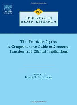 The Dentate Gyrus pdf epub mobi 电子书 下载