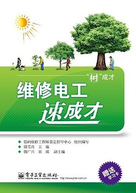 维修电工速成才 pdf epub mobi 电子书 下载