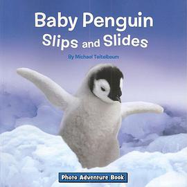 Baby Penguin Slips and Slides pdf epub mobi 电子书 下载
