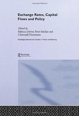 Exchange Rates and Capital Flows