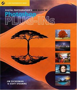 Digital Photographer's New Guide to Photoshop Plug-ins pdf epub mobi 电子书 下载
