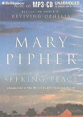 Seeking Peace pdf epub mobi 电子书 下载