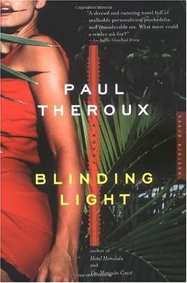 Blinding Light pdf epub mobi 电子书 下载