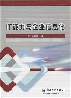 IT能力与企业信息化 pdf epub mobi 电子书 下载