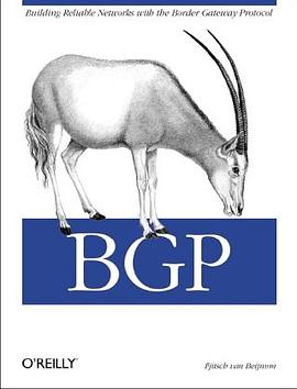 BGP pdf epub mobi 电子书 下载