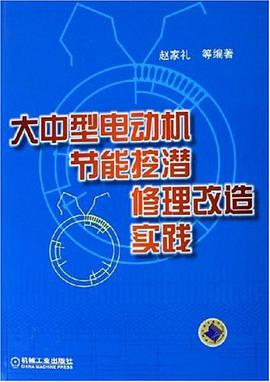 大中型电动机节能挖潜修理改造实践 pdf epub mobi 电子书 下载