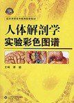 人体解剖学实验彩色图谱 pdf epub mobi 电子书 下载