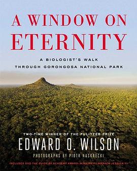 A Window on Eternity pdf epub mobi 电子书 下载