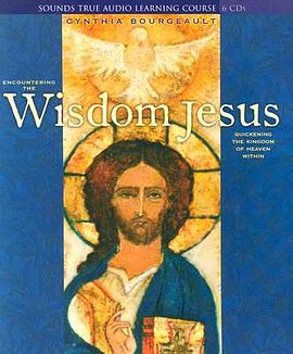 Encountering The Wisdom Jesus pdf epub mobi 電子書 下載