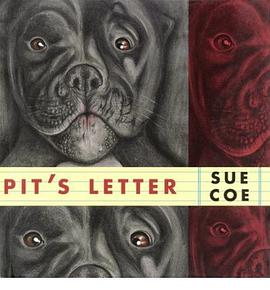 Pit's Letter pdf epub mobi 電子書 下載