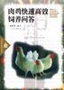肉鸡快速高效饲养问答 pdf epub mobi 电子书 下载