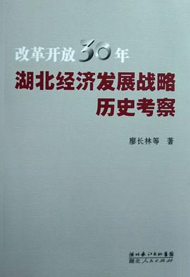 改革开放30年湖北经济发展战略历史考察 pdf epub mobi 电子书 下载