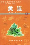 黄连 pdf epub mobi 电子书 下载