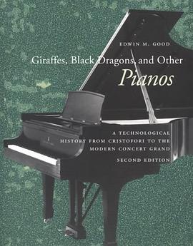 Giraffes, Black Dragons and Other Pianos pdf epub mobi 电子书 下载