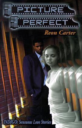 Picture Perfect Indigo pdf epub mobi 电子书 下载