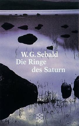 Die Ringe des Saturn pdf epub mobi 电子书 下载