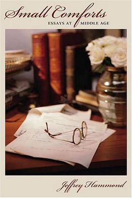 Small Comforts pdf epub mobi 下载