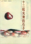 十二粒光滑的石子 pdf epub mobi 电子书 下载
