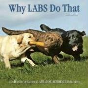 Why Labs Do That pdf epub mobi 电子书 下载