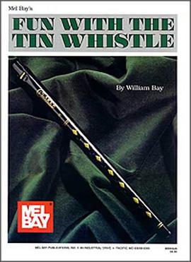 Fun with the Tin Whistle pdf epub mobi 电子书 下载