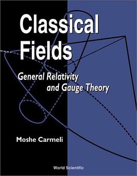 Classical Fields pdf epub mobi 電子書 下載
