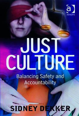 Just Culture pdf epub mobi 电子书 下载