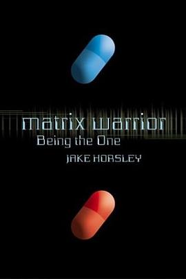 Matrix Warrior pdf epub mobi 电子书 下载